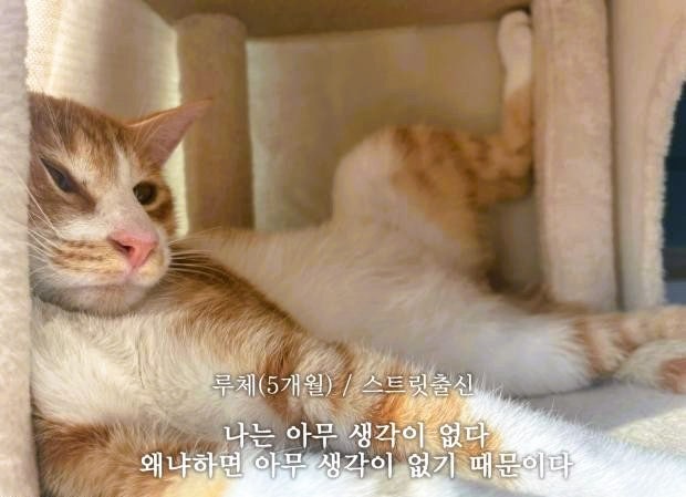 코사인법칙 증명, 아무 생각없이 수식만으로 유도하기 (feat.사인법칙) — 그림 5